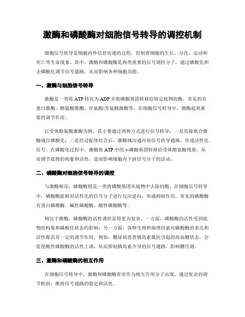 激酶和磷酸酶对细胞信号转导的调控机制