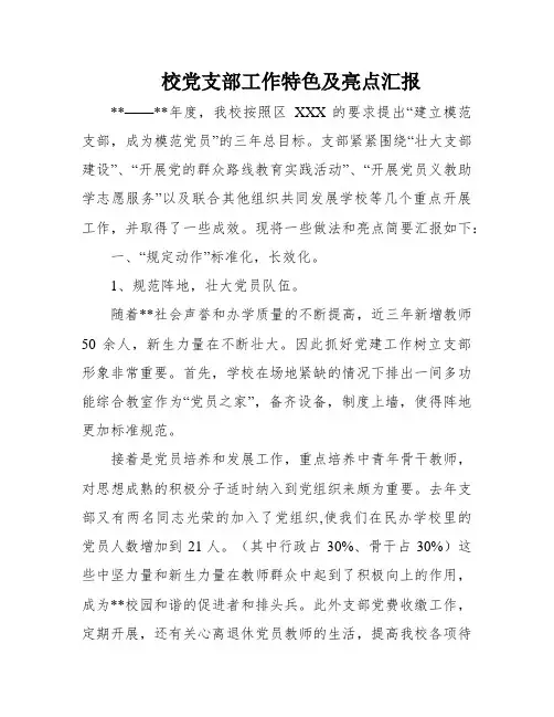 校党支部工作特色及亮点汇报