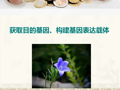 生物苏教版选择性必修3课件2：获取目的基因、构建基因表达载体