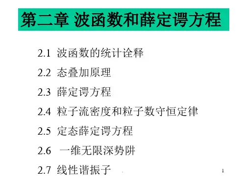 波函数的统计诠释