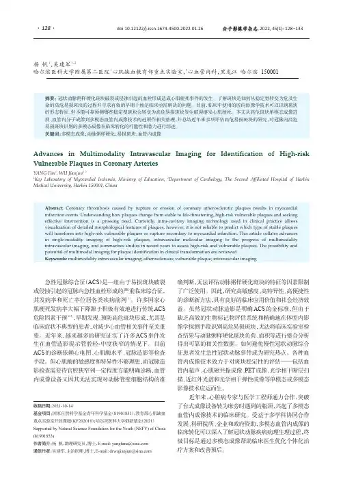 冠状动脉内高危易损斑块识别的多模态成像进展