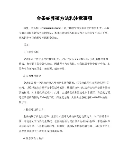 金条蛇养殖方法和注意事项