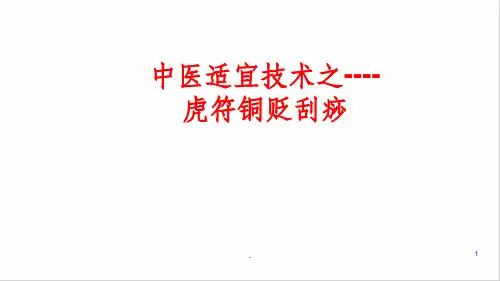 虎符铜砭  刮痧PPT课件