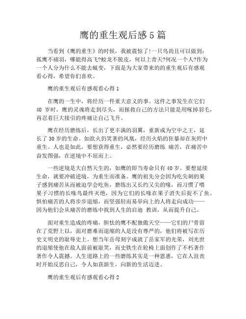 鹰的重生观后感5篇
