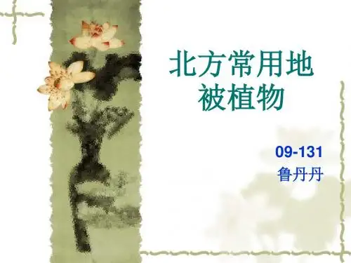 北方常用地被植物-6