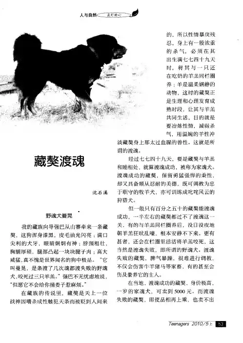藏獒渡魂