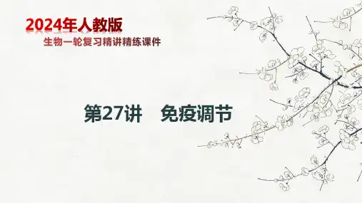 第27讲 免疫调节(课件)2024年高考生物一轮复习