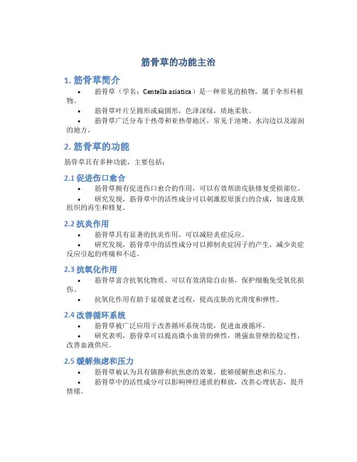 筋骨草的功能主治