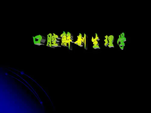 口腔解剖生理学PPT课件
