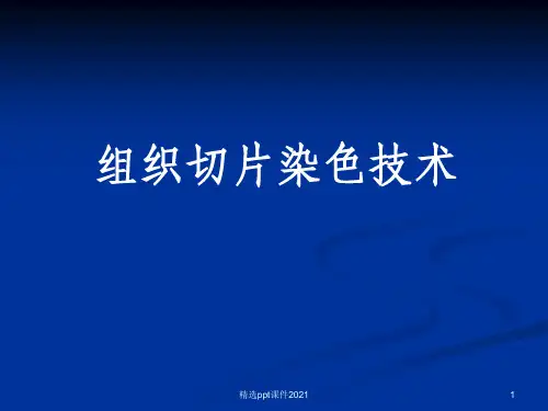组织切片染色技术ppt课件