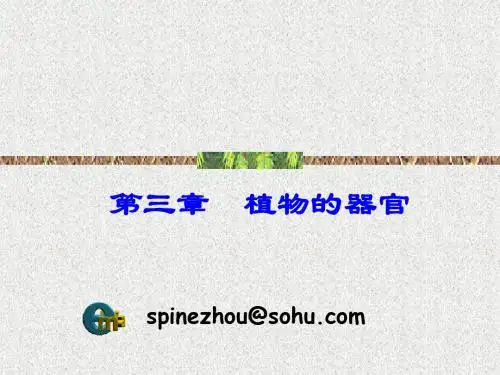 植物的器官——花