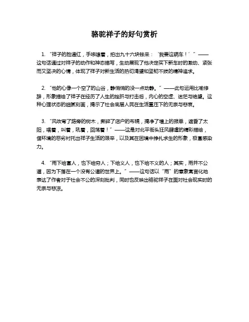 骆驼祥子的好句赏析