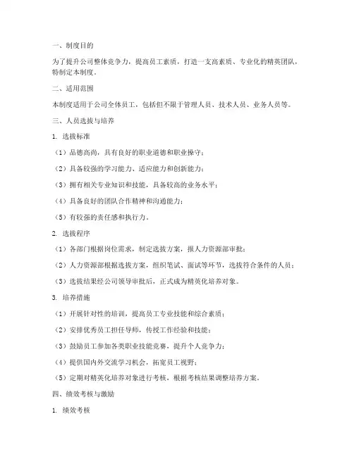 人员精英化管理制度