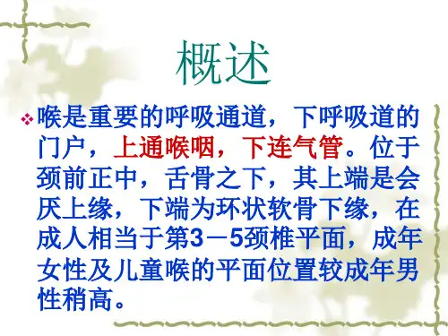 2018年ENT解剖(喉)-文档资料