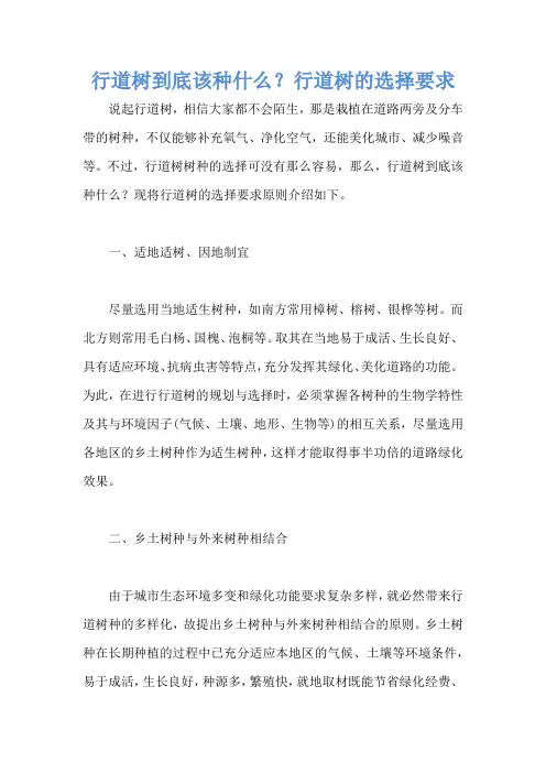 行道树到底该种什么？行道树的选择要求