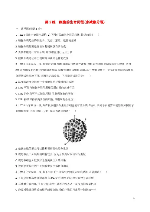 2024高考生物二轮复习第5练细胞的生命历程含减数分裂练习