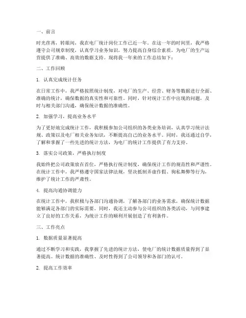 电厂统计岗个人工作总结