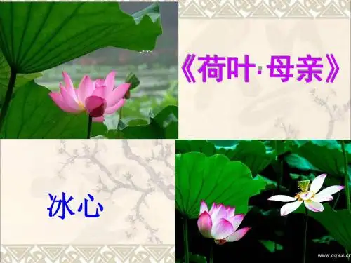 七年级语文上册《第4课 散文诗两首》荷叶母亲课件 (新版)新人教版