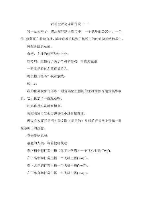 我的世界之末影传说-作文