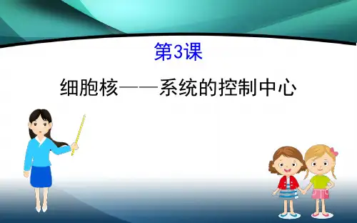 2020届高考生物一轮复习2.3细胞核--系统的控制中心