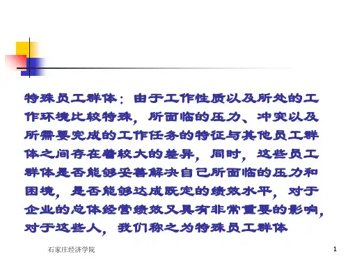 人力资源管理特殊员工群体的薪酬