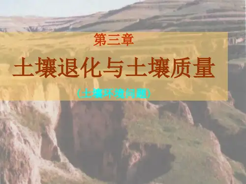 土壤退化与土壤质量