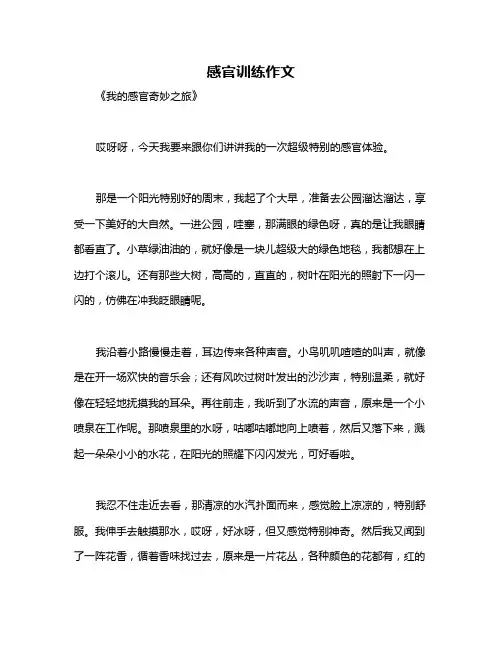 感官训练作文