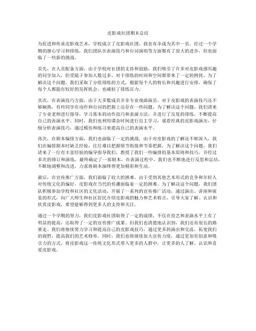皮影戏社团期末总结