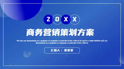 商务营销策划方案PPT