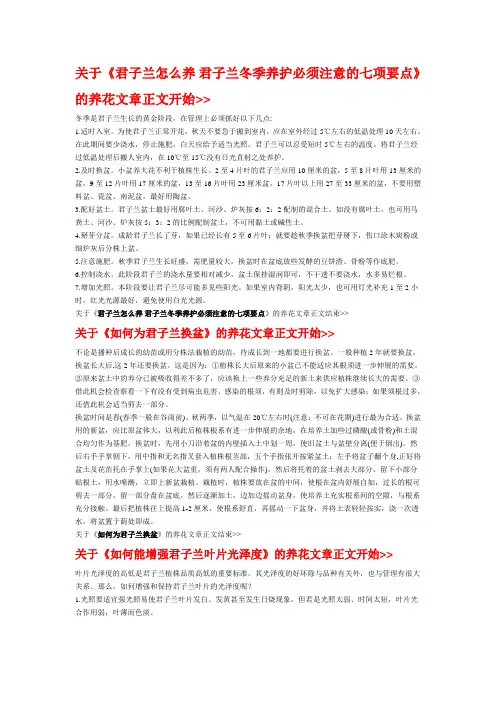 君子兰