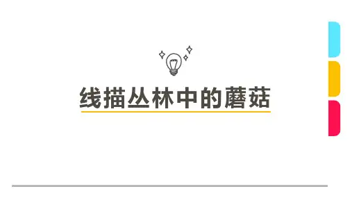 《蘑菇》5-7岁幼儿园小学少儿美术教育绘画课件创意线描教程教案PPT模板
