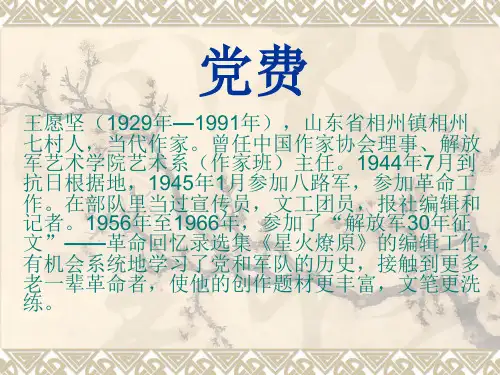 党费ppt课件