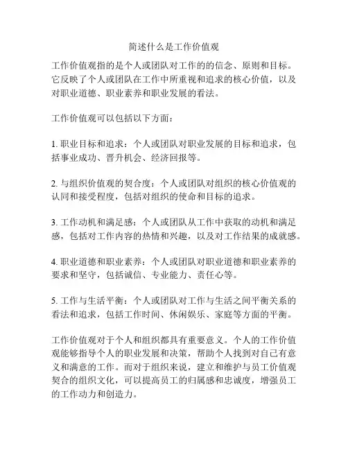 简述什么是工作价值观