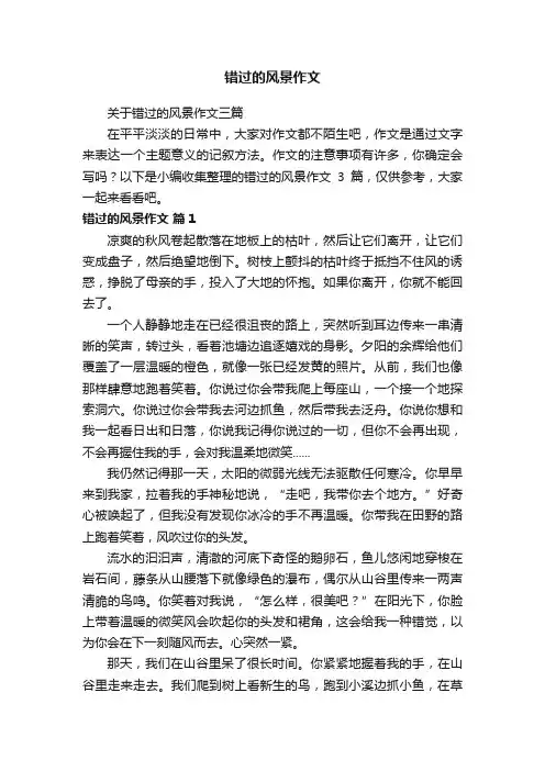 错过的风景作文