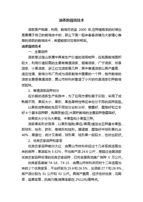 油茶的栽培技术