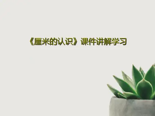 《厘米的认识》课件讲解学习44页PPT