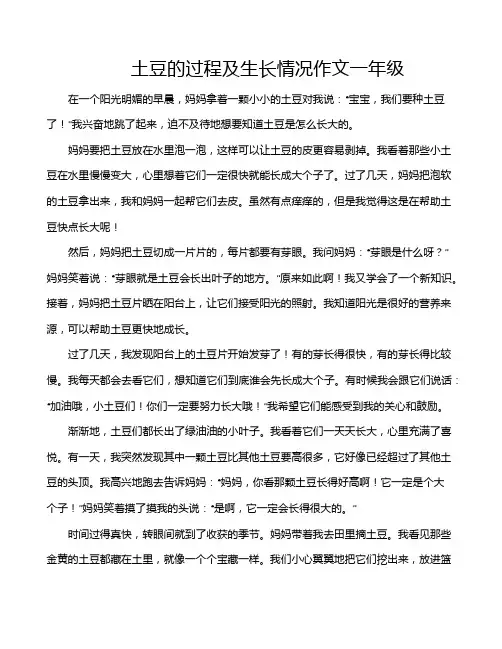 土豆的过程及生长情况作文一年级