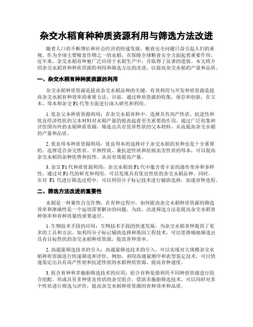 杂交水稻育种种质资源利用与筛选方法改进