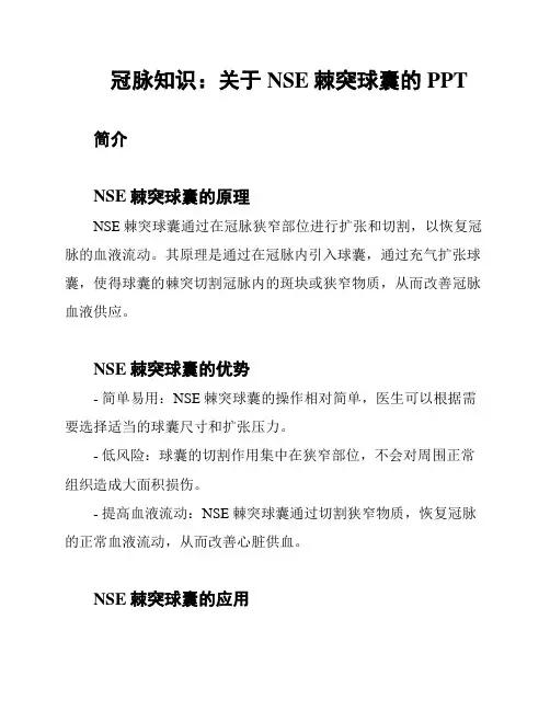 冠脉知识：关于NSE棘突球囊的PPT