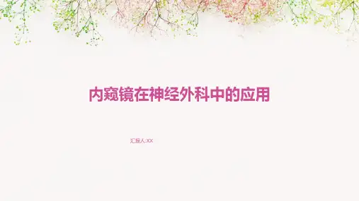 内窥镜在神经外科中的应用