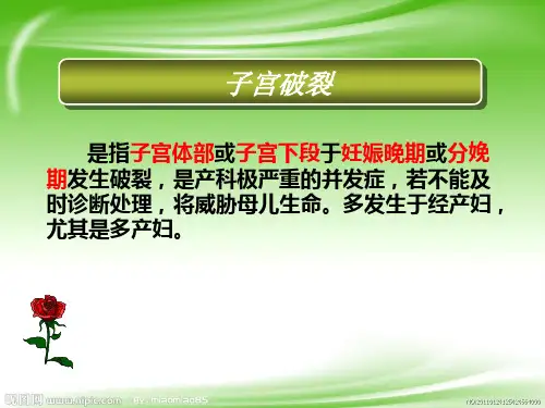 妇科教学课件：7-分娩期并发症
