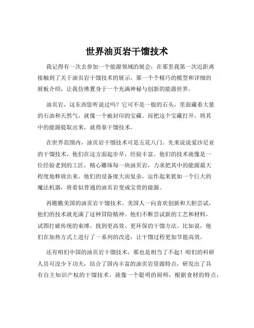 世界油页岩干馏技术
