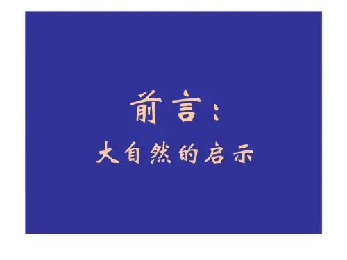 【精选】屋面虹吸排水系统图解[精品]PPT