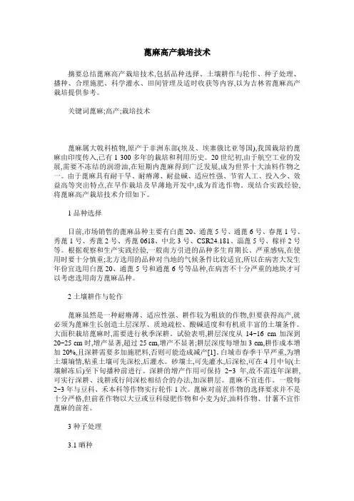 蓖麻高产栽培技术