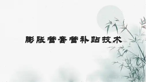石油工程技术    膨胀管套管补贴技术