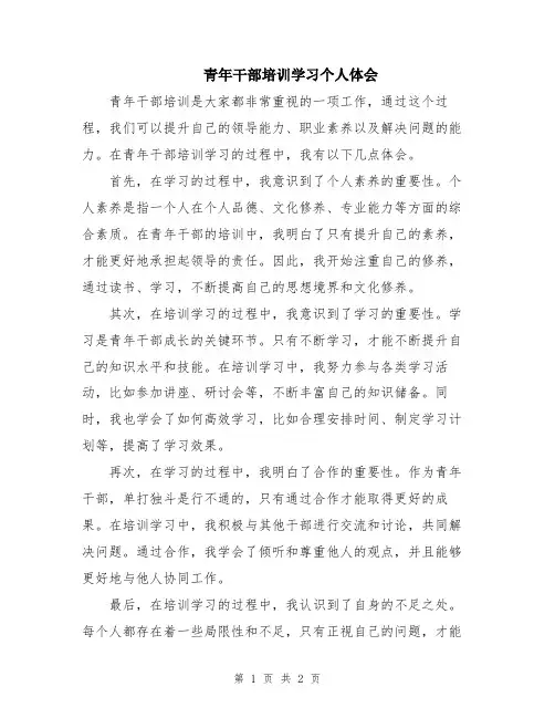 青年干部培训学习个人体会