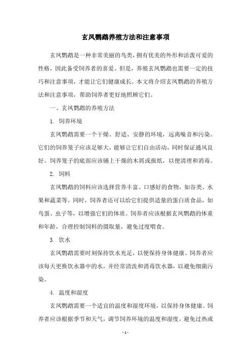 玄凤鹦鹉养殖方法和注意事项