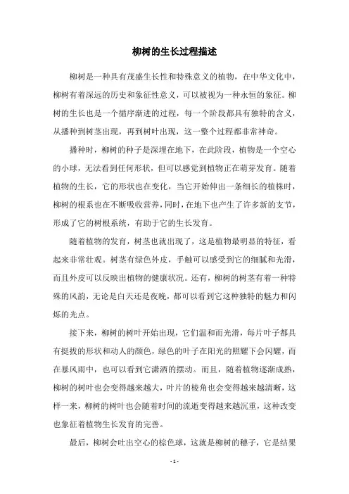 柳树的生长过程描述