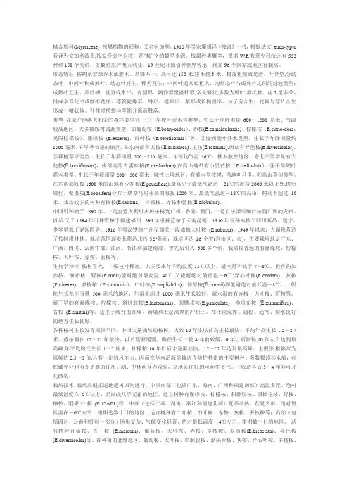桃金娘科