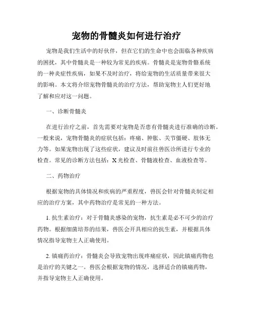宠物的骨髓炎如何进行治疗